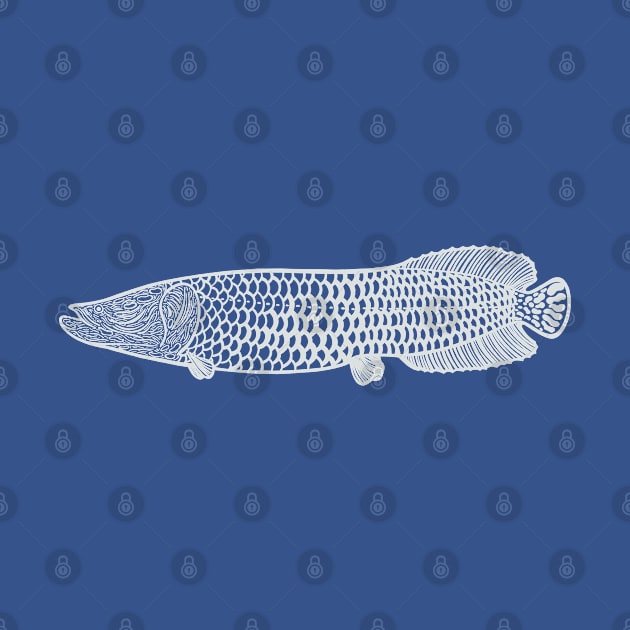 Arapaima - detailed hand drawn fish lover's design by Green Paladin