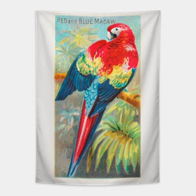 Macaw Tapestry by WAITE-SMITH VINTAGE ART