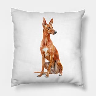 Cirneco DellEtna Pillow