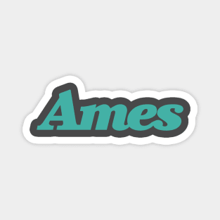 Ames Department Store Magnet