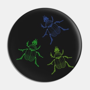 Scarabaeus sacer insects Pin