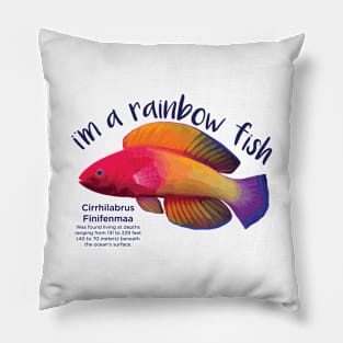 Rainbow Fish Pillow