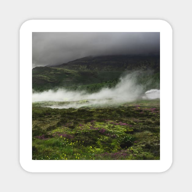 Steam Rolling Over Green Field in Iceland Magnet by Danny Wanders