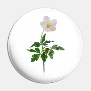 Wood anemone Pin