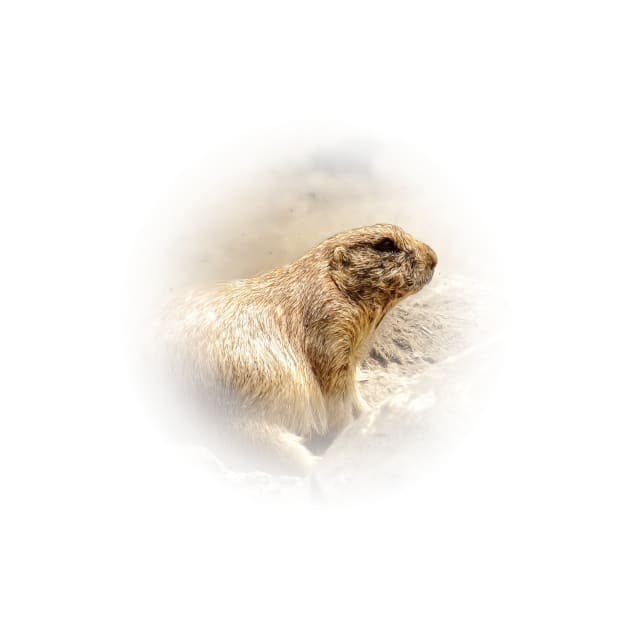 Prairie dog by Guardi