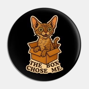 My Cat Likes to Sit in Boxes - Devon Rex Pin