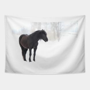 Sleep, perchance to Dream - Horse Tapestry