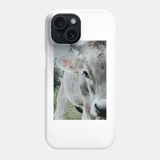 Cow close-up Phone Case by Melissa Peltenburg Travel Photography