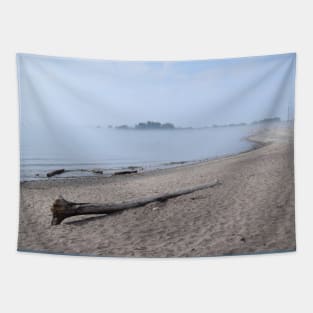 Cottagecore, Beach Front, Driftwood Tapestry