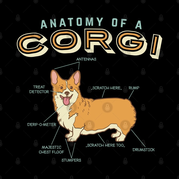 Anatomy Of A Corgi Shirt| Funny Anatomy Shirts| Funny Corgi Shirt by GigibeanCreations