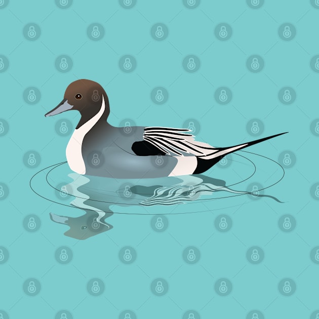 A vector illustration of a northern pintail by Bwiselizzy