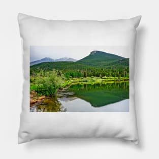 Lily Lake Study 1 Pillow