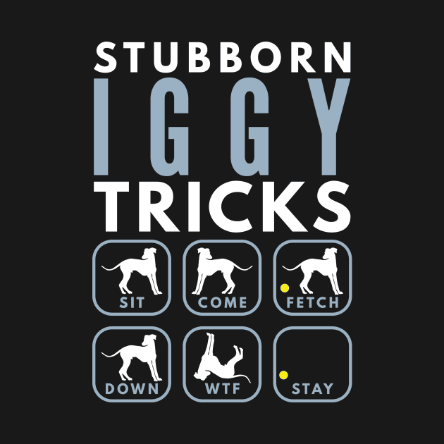 Stubborn Iggy Italian Greyhound Tricks - Dog Training by DoggyStyles