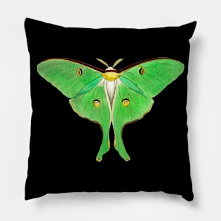 Luna Moth Pillow