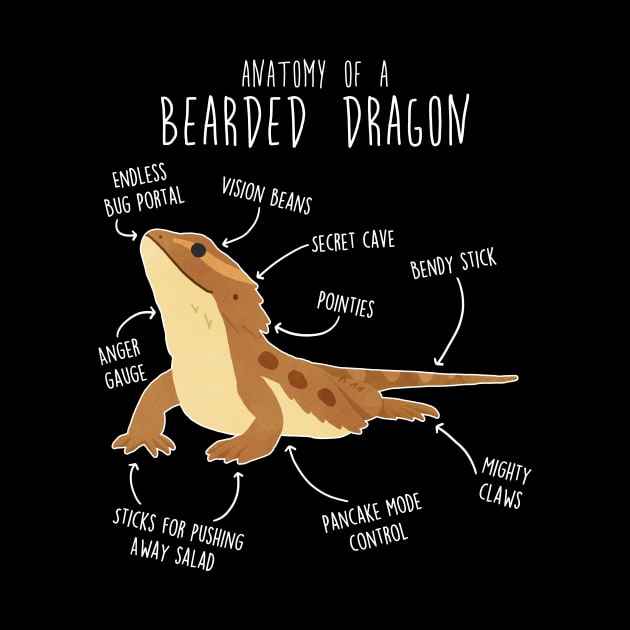 Bearded Dragon Lizard Reptile Anatomy by Psitta