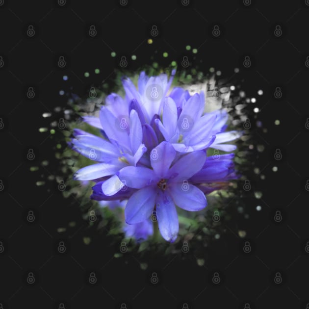 blue flowers, flower, blooms, splash, nature by rh_naturestyles