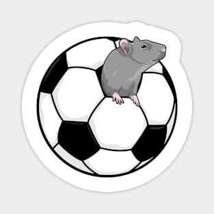 Rat with Soccer ball Magnet