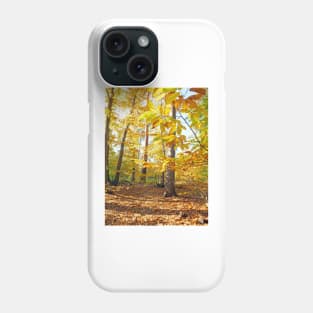 Woodland Trees in Autumn Phone Case