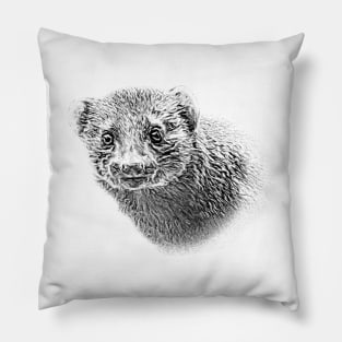 Dwarf mongoose Pillow