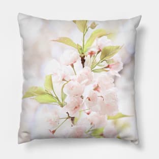 Spring Apple Tree Flower Blossoms Pillow