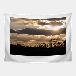 Sun Peeking Out Tapestry