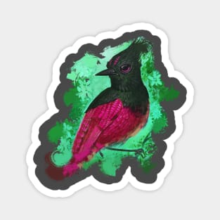 Magenta Steller's Jay All Day Magnet