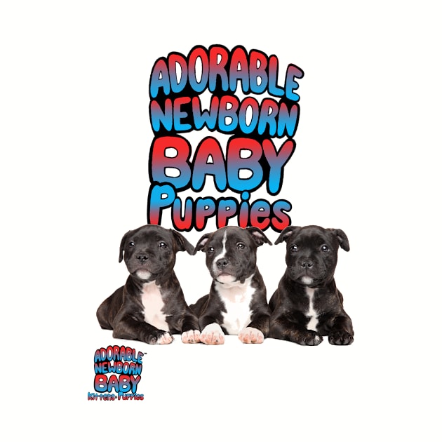 ADORABLE NEWBORN BABY PUPPIES by Dorablenewborn1