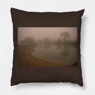 Stour Valley Way: Winter Scene, January 2021 Pillow