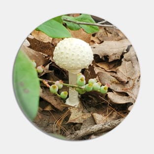 American Fly Agaric Pin