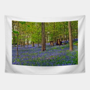 Bluebells Bluebell Woods Greys Court Oxfordshire UK Tapestry