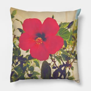 Pretty Red Flower with green leaves nature lovers beautiful photography design Pillow