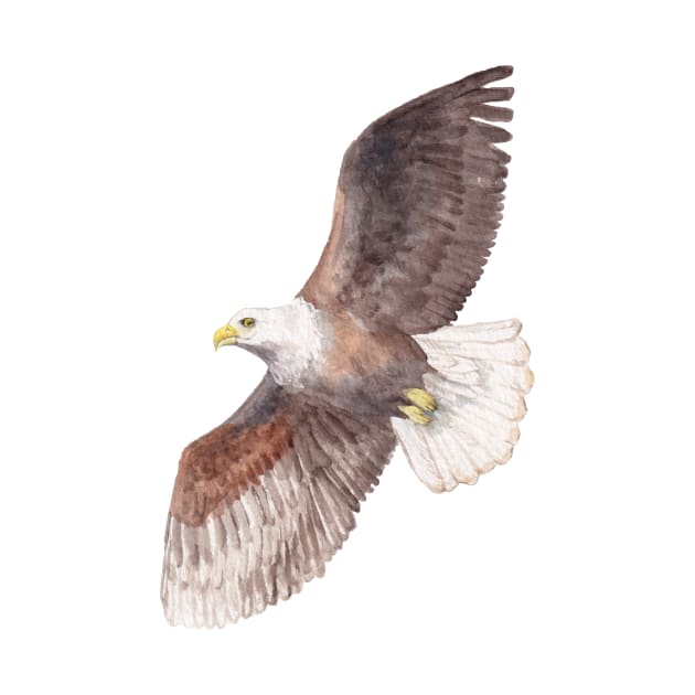 Soaring Watercolor Eagle by wanderinglaur