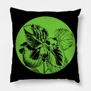 Oregano shadows Pillow