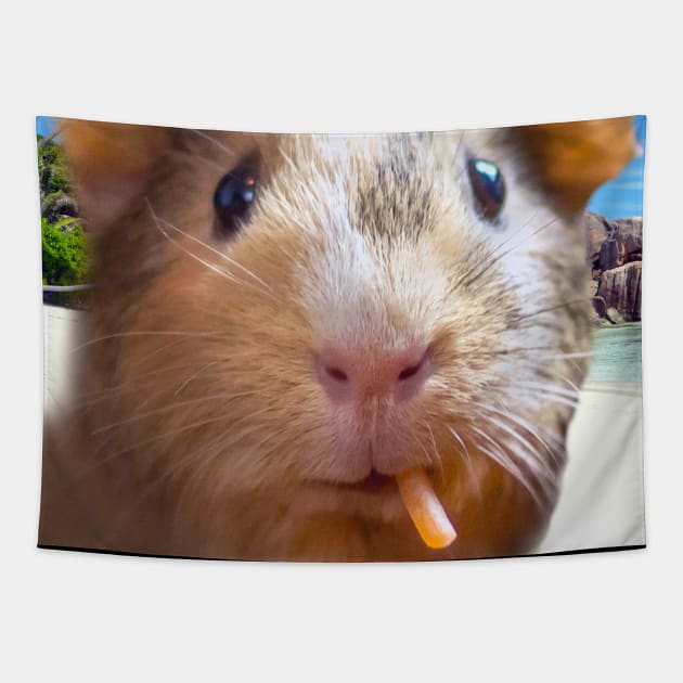 Guinea pig tapestry sales