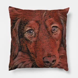 Rove the dog Pillow