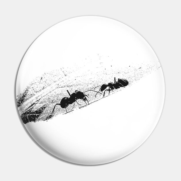 Ants Pin by Guardi