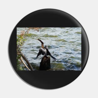 Cormorant on a Lake Pin