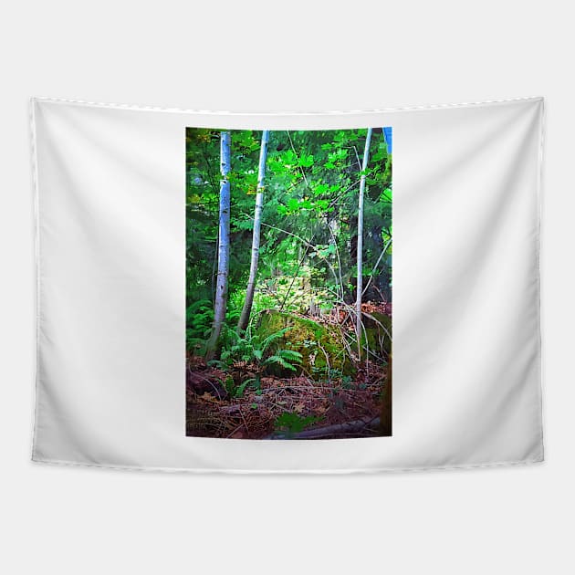 Birch Trees Tapestry by KirtTisdale