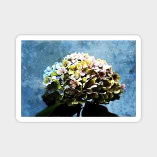 Shabby-chic Hydrangea Flower Magnet