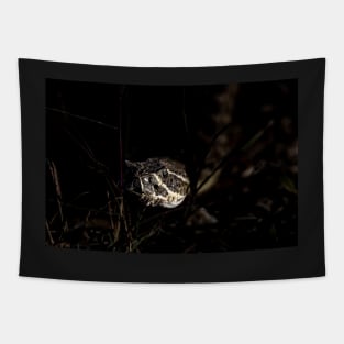 Night Hunter Tapestry