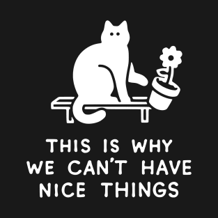 THIS IS WHY WE CAN'T HAVE NICE THINGS T-Shirt