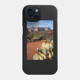 Arid landscape. Phone Case