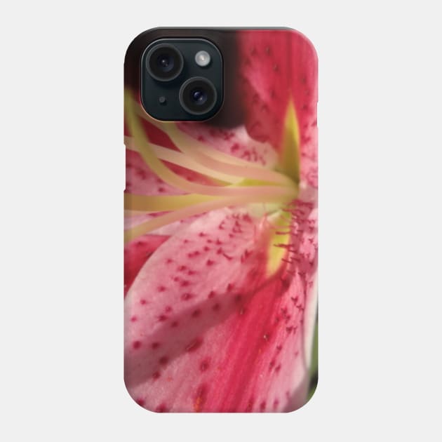 Beautiful photograph of lily flower Phone Case by Annalisseart24