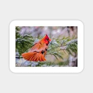 Christmas Cardinal Magnet