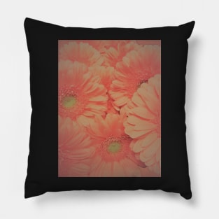 GERBERA ,,House of Harlequin Pillow