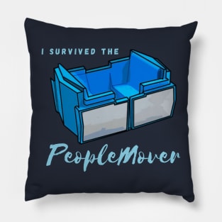 Meet me at the best attraction ever! Pillow