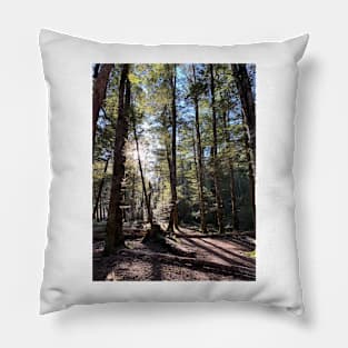 Beech forest Pillow