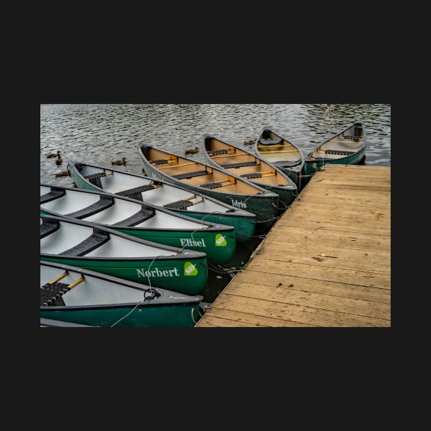 Canoes and kayaks on Salhouse Broad, Norfolk by yackers1