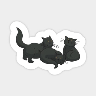 Black Cats Magnet
