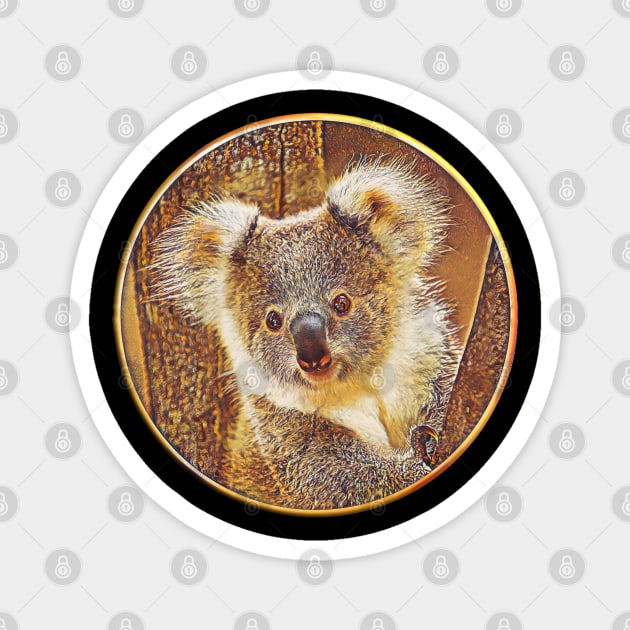 Koala safe Australia Magnet by UMF - Fwo Faces Frog